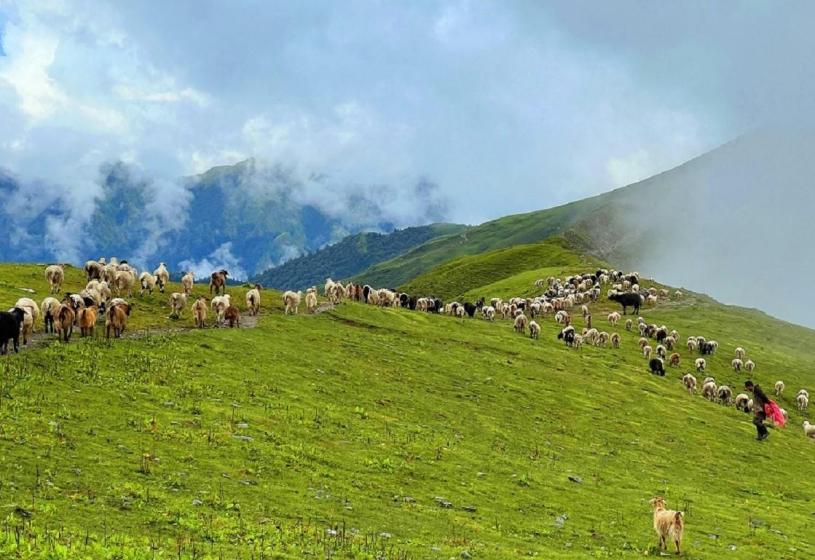 पदयात्राका लागि उत्कृष्ट गन्तव्य बन्दै 'बुकीपाटन'